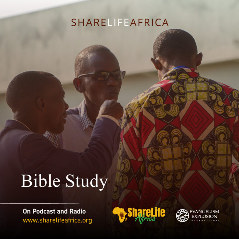 Bible Study