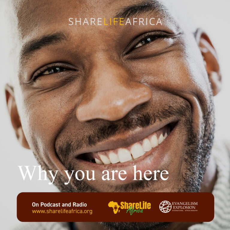 Why you are here