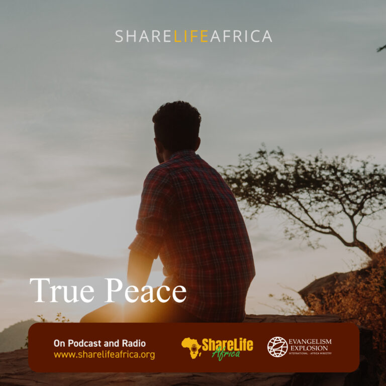 True Peace